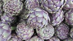 Artichaut violet